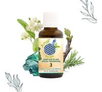 Élixir d’émeraude et bourgeons de tilleul, figuier, romarin - Ansil - 30 ml