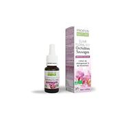 Elixir Floral d'Orchidées sauvages Bio - Elixir du changement et de l'évolution - PROPOS'NATURE - 15ml