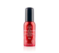 Elixirs & Co - Brume de Bien-être Réconfortante aux Fleurs de Bach & Huiles Essentielles - Enfants - Les Fleurs de Bach - Bien être - Détente - Bio - 100% Naturell - Made in France - 30ml