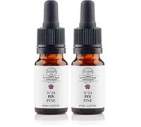 Elixirs & Co - Elixir Pin n°24 - Valorisation et Confiance en Soi - Remède naturel aux fleurs de bach 10mL - Complément alimentaire compte gouttes - Fabriqué en France (Lot de 2)
