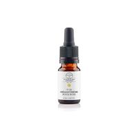 Elixirs & Co - Hélianthème n°26 BIO - Grande frayeur, peur panique - Remède naturel aux fleurs de bach 10mL - Complément alimentaire compte gouttes 100% Naturel - Fabriqué en France