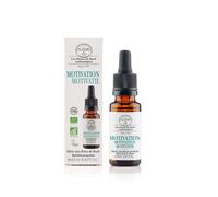 Elixir Motivation Bio Prêt à l'Emploi, Composé Unique aux Fleurs de Bach 20ml - Elixirs & Co - Calme, Peur, Bien-Être, Détermination - Fleur De Bach 100% Naturel - Fabriqué en France