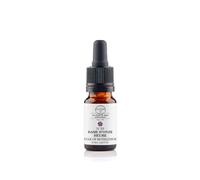 Elixirs & Co - Star of bethlehem n°29 BIO - Réconfort et consolation - Remède naturel aux fleurs de bach 10mL - Complément alimentaire compte gouttes 100% Naturel - Fabriqué en France