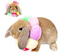 Elizabeth Collerette de Lapin Réglable pour Lapin, Chinchilla, Cochon d'Inde, Chaton après Opération, Guérison des Plaies pour Petits Animaux (Taille XS)