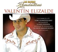 Valentin Elizalde - Las Bandas Romanticas