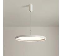 Elksdut Lampe Suspendue en Acrylique à Disque à LED, Mini-Lustre de Lampe Suspendue au Plafond Moderne, luminaire de Table à Manger 36W, Lampes suspendues de décoration de Chevet de Chambre à Coucher