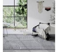 Elle Decor ation Chappe Tapis de Salon, Moderne, à Poils Longs, Motif Moderne, Moelleux, Doux, bohème, pour Salon, Chambre à Coucher, Gris Clair, 120 x 170 cm