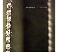 Ellen Fullman - Staggered Stasis [Import]
