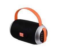 Ellenne Enceinte Bluetooth rechargeable 10 W Haut parleur WIFI WATERPROOF RADIO TG112 (Noir)