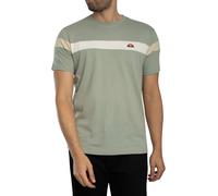 Ellesse Pour des hommes T-shirt Caserio, vert