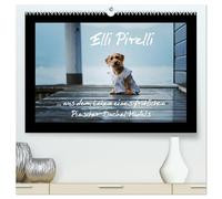 Elli Pirelli... aus dem Leben eines fröhlichen Pinscher-Dackel-Mädels (hochwertiger Premium Wandkalender 2026 DIN A2 quer), Kunstdruck in Hochglanz: ... Leben eines fröhlichen Pinscher-Dackel-Mädels