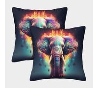 EllieAu Lot De 2 Pièces Housses De Coussin Big Éléphant Throw Taie d'oreiller Wild Animaux Lavable pour Canapé Salon Chambre Enfants Maison Décoration 45x45cm
