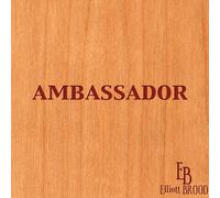 Ambassador