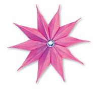 Ellison Sizzix Bigz Big Shot Matrice de découpe en forme d'étoile 10 points 3D