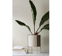 ELLOS Home Milton Pot de Fleurs Polyvalent en Fer avec Structure réversible pour l'intérieur et l'extérieur Hauteur 22 cm Beige Diamètre 25 cm
