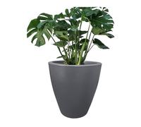 Elly D? Cor Plancheur 12 pouces pour jardin avec drainage grand rond leger et pont extremement durable Pot en plastique interieur / exterieur 12