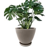 Elly Décor Pot de Fleurs Rond avec Soucoupe et Trou de Drainage pour intérieur et extérieur, Convient aux Supports de Plantes du Milieu du siècle, 25,4 cm, Ciment Gris, 25,4 cm