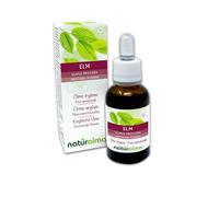Elm ou Orme anglais (Ulmus procera) Remèdes floraux Naturalma - Gouttes 30 ml - Extrait liquide sans alcool - Essences florales - Vegan et sans alcool