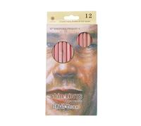 Elnwnnkc 12 pièces pastel doux professionnels teinte de peau en bois crayon de couleur pastel pour pour livres de coloriage pour adultes avec taille-crayon avec gommes taille-crayon pour col