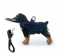 Elnwnnkc Ensemble harnais de protection et laisse pour chiens malvoyants réglable en polyester respirant