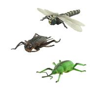 Elnwnnkc Figurine Modèle D'insectes Réalistes Ensemble De 3 pour Jouet Éducatif d'apprentissage des Sciences Figure Détaillée Jouet Biologie pour Étudiant Outils Pédagogiques Biologie