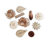 Elnwnnkc Jouet à mâcher naturel pour perroquets et perroquets de petite taille et médias