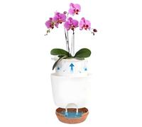 Elnwnnkc Lot de 2 bols de fleurs transparents pour intérieur et extérieur avec construction double couche et base surélevée pour plantes ventilées