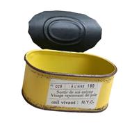 Elnwnnkc Pot de Fleurs Ovale en métal Unique avec Couleur rétro, Parfait pour Le Balcon, Le Jardin et la décoration de la Maison, des rebords de fenêtre, des Tables, Vieux récipient à Fleurs