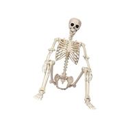Elnwnnkc Squelette d'Halloween articulé taille réelle pour intérieur et extérieur - Décoration étrange pour maison hantée - Cimetière - Décoration fixe d'Halloween