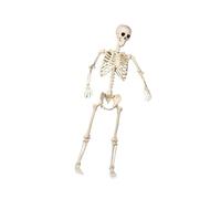 Elnwnnkc Squelette d'Halloween articulé taille réelle pour intérieur et extérieur - Décoration étrange pour maison hantée - Cimetière - Décoration fixe d'Halloween