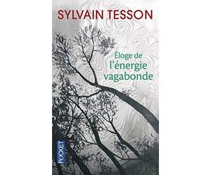 Eloge de l'énergie vagabonde (French Edition) by Sylvain Tesson(1905-07-01)