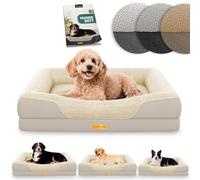 ELONEO lit orthopédique pour Chien Petits Chiens - 76x51x17cm, Panier avec Mousse à mémoire de Forme, Tapis imperméable et Lavable, Coussin et Matelas rembourré, crème