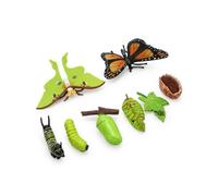 Elprico 8 Pièces Cycle de Vie du Papillon et du Figurines Animales | 8 modèles en PVC durable montrant 4 étapes de croissance, idéaux pour les cours pratiques de sciences Montessori, les