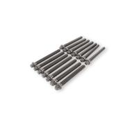 Elring Jeu de boulons de culasse 258.610