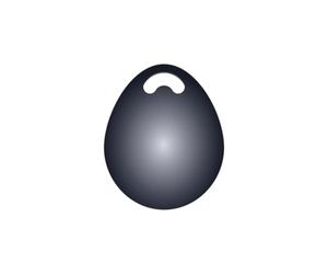 ELRO AS98TA2 Tags d'alarme (2-Pack) tbv ELRO AS98 Home2 Alarmsystem