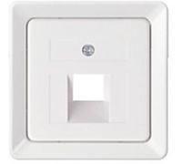 ELSO 206404 Plaque centrale ELSO 206404 pour 1xRJ45 blanc pur multicolore 1 pc(s)