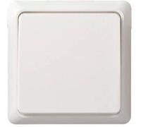 ELSO 501614 Interrupteur universel ELSO 501614 10A éclairé RÉNOVATION rw 1 pc(s)