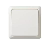 ELSO Bouton poussoir 10A complet RENOVATION borne à vis blanc pur, Bouton + interrupteur, Blanc