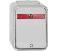 ELSO ELG441219 Interrupteur ELSO ELG441219 2p. bel. 10 A lumière/gris basalte gris 1 pc(s)