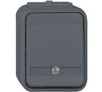 ELSO ELG442119 Bouton ELSO ELG442119 bel. 10 A lumière/gris basalte gris 1 pc(s)