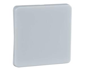 elso Elso Bascule rw pour bouton/poussoir 213604 Quantité:1