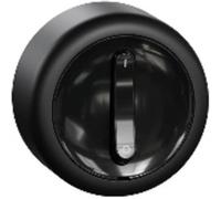 ELSO WDE015907 Interrupteur ELSO RENOVA noir 2p 16 A 1 pc(s)