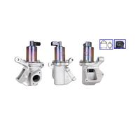 ELSTOCK 72-0341 Vanne EGR pour SSANGYONG