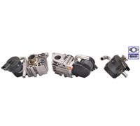 ELSTOCK 73-0206 Vanne EGR pour BMW