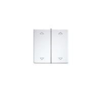 Eltako DW-FT55-wg+2P Interrupteur à bascule double