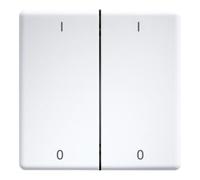 ELTAKO Eltako Double bascule gravée au laser pour 55x55 mm rws/brillant DW-FT55-wg+IO Quantité:1