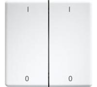 ELTAKO FT4GF/8-24VUC-si Bouton-poussoir radio gris argenté brillant avec bascule et bascule double (30000988)