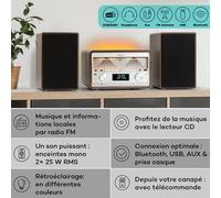 Elton Chaîne stéréo CD BT MP3 DAB+ Radio FM VU-mètre éclairage d'ambiance