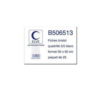 Elv S/25 Fiche Bristol 50x65 5x5 B506513