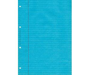 ELVE BLOC AUDIT lignes + marge 297X210 80 P. BLEU